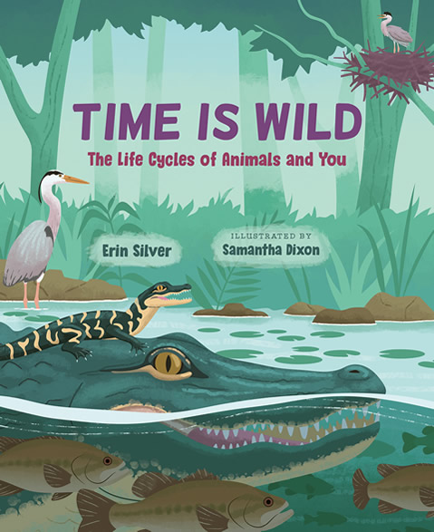 Time Is Wild: The Life Cycles of Animals and You by author, Erin Silver